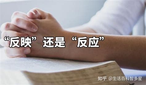 反映 意思|反映 的意思、解釋、用法、例句